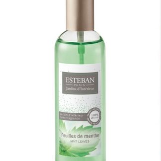 Vaporizzatore profumo per ambiente Feuilles de Menthe 100 ml – Esteban Paris