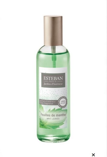 Vaporizzatore profumo per ambiente Feuilles de Menthe 100 ml – Esteban Paris