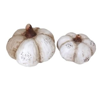 Coppia di zucche decorative bianche