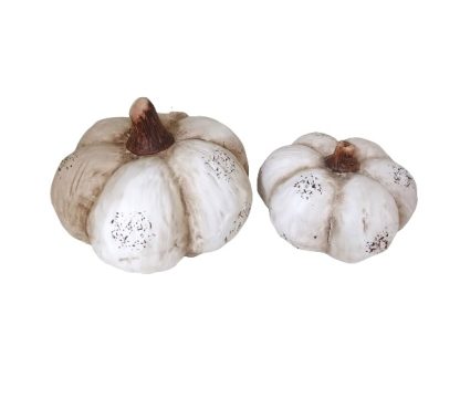 Coppia di zucche decorative bianche