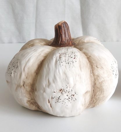 Zucca decorativa bianca - immagine 3