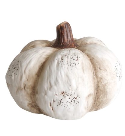 Zucca decorativa bianca