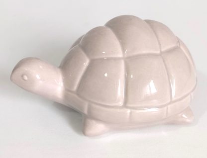 Tartaruga beige - immagine 2