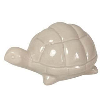 Tartaruga beige