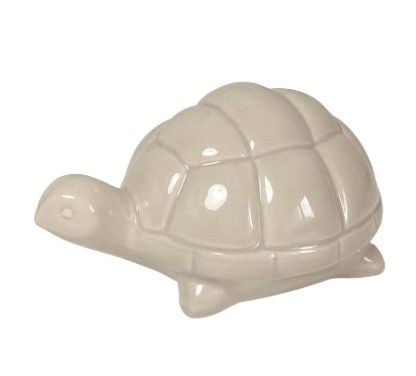 Tartaruga beige