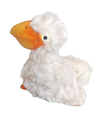 Pellicano bianco e arancio