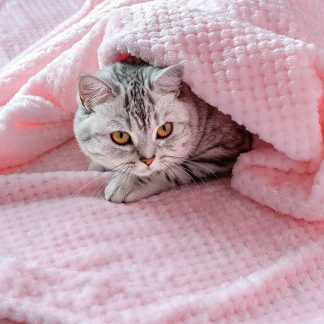Copertina rosa per piccoli animali